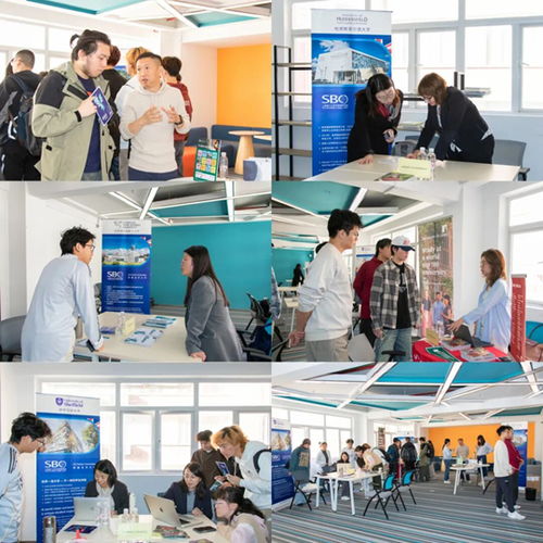 上海理工大學中英國際學院舉辦2025年度英國合作大學秋季咨詢會 聚焦信息技術咨詢服務，規劃未來留學之路